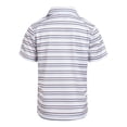 thumbnail image 2 of Ben Sherman Clothes Boys’ 2-Piece Tech Polo Short Outfit Set – Includes Short Sleeve Polo Shirt & Shorts, Comfortable Everyday Clothing for Baby, Toddler, Little & Big Boys Sizes (12M-14), 2 of 2