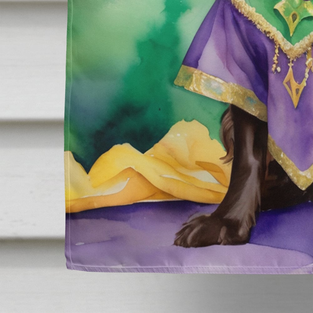 Boykin Spaniel King of Mardi Gras House Flag 28 in x 40 in