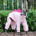 thumbnail image 5 of HQREA Italian Greyhound Onesie Clothes Whippet Dog Dinosaur Costume Pajamas for Large Dogs, 5 of 6