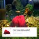 thumbnail image 4 of WHAMVOX De Acuario Volcano De Resina Resistente Para Ambiente Acuático, 4 of 6