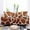 5, variant on Leopard Print Elastic Sofa Cover for Living Room Stretch Sofa Cover Armchair Slipcovers Cushion Cover Big Sofas fundas sofa