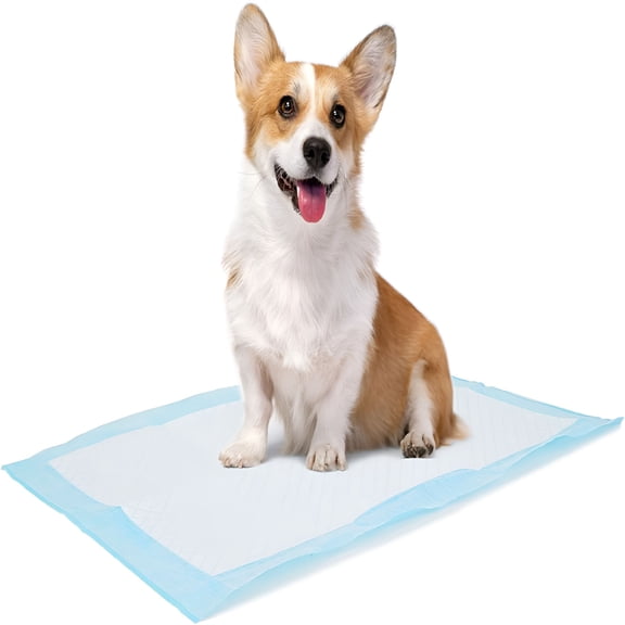 CCOCC Dog And Puppy Training Pads,13”×18” Disposable Dog Pee Pads,100/Counts Ultra Absorbent&Leak-Proof Pet Underpads,Dry Quickly Pee Pad for Dog Cats Rabbits Or Other House Training Pet