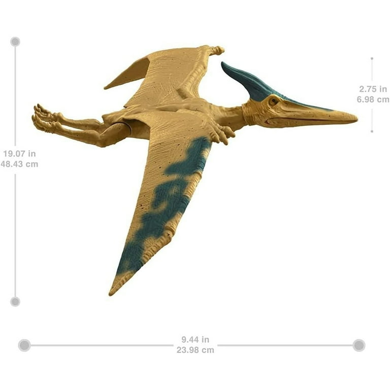 Pterodactyl Pteranodon Image & Photo (Free Trial)