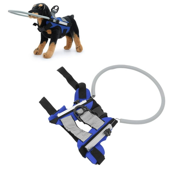 Harnais pour Chien Aveugle, Dispositif de Guidage Léger pour Éviter les Collisions avec Design Réfléchissant pour Petits à Moyens Chiens 8.8-22.0lbs Anneau Halo Anti-Collision