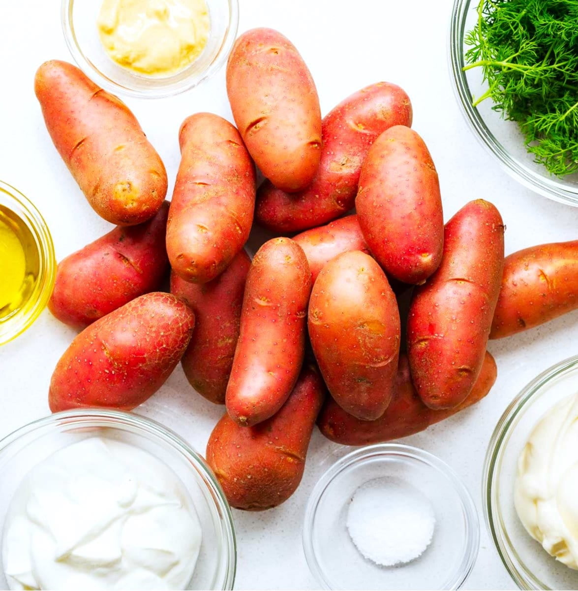 TomorrowSeeds - Red French Fingerling Seed Potatoes - USDA Certified for Growers Red Gold New Potato Bulb For Planting Vegetable Seeds 2025 - 15 Pounds