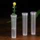 thumbnail image 5 of Healifty - 50 unidades de tubos de plástico transparentes para flores nutritivas, recipientes para agua y flores, suministros de floristería, 5 of 5