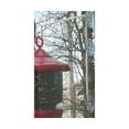 thumbnail image 1 of Window Suction Cup Hanger, 1 of 1