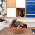 thumbnail image 3 of Donut Dog Cat Bed, Soft Plush Pet Cushion, Anti-Slip Machine Washable Self-Warming Pet Bed - Improved Sleep for Cats Small Medium Dogs (Multiple Sizes), 3 of 6