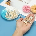 thumbnail image 4 of 10Pcs Encanto de Concha a Granel Pendientes de Concha Natural para Hacer Joyería, Plata, 4 of 6