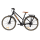 thumbnail image 2 of Bicicleta RAM City R700, Negra, 2 of 6
