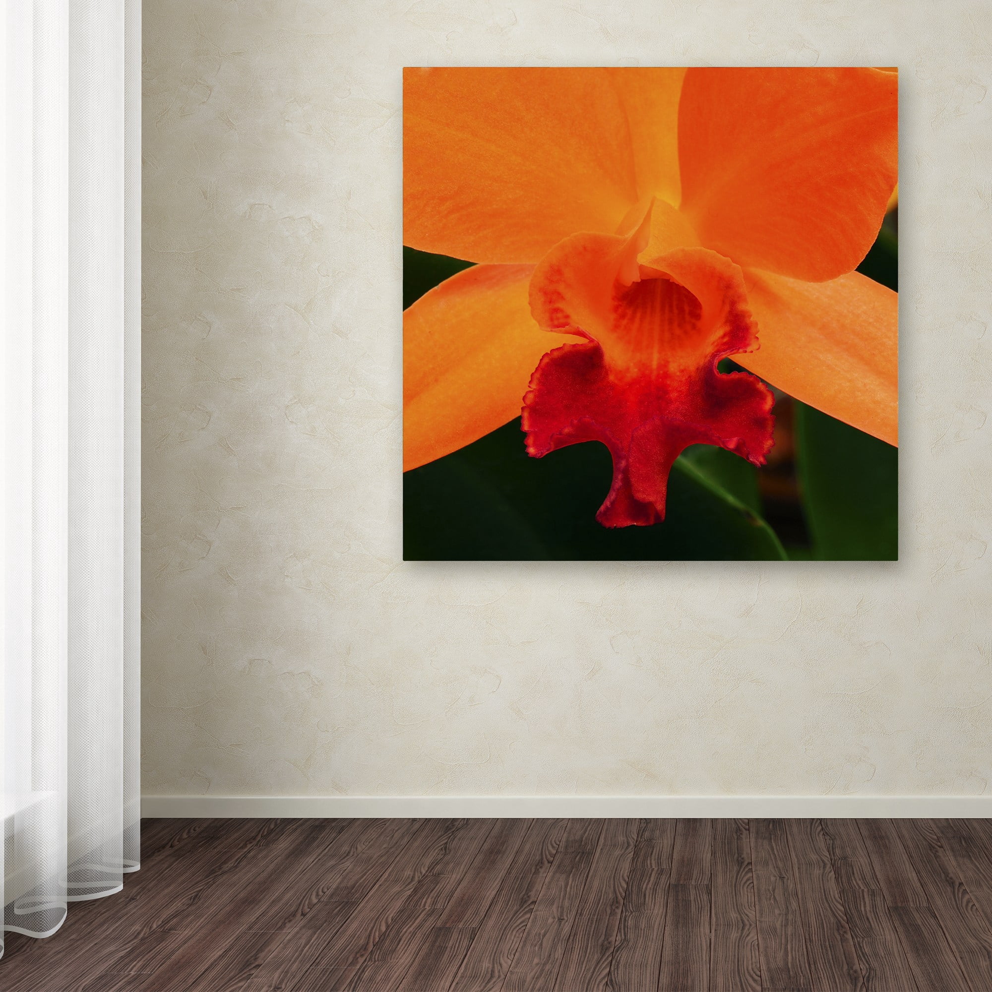 Trademark Fine Art "Brilliant Orchid on Fire" Canvas Art by Kurt Shaffer