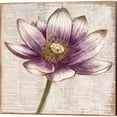 thumbnail image 3 of Defined Lotus by Patricia Pinto Canvas Art Set of 2 14 inch X 14 inch Each, 3 of 4