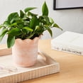 thumbnail image 2 of FRAÎCHE Spring Small Terracotta Planter Pot, 8-in, 2 of 5