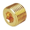 Hollow Hex Plug, Pipe Size 1/4 In