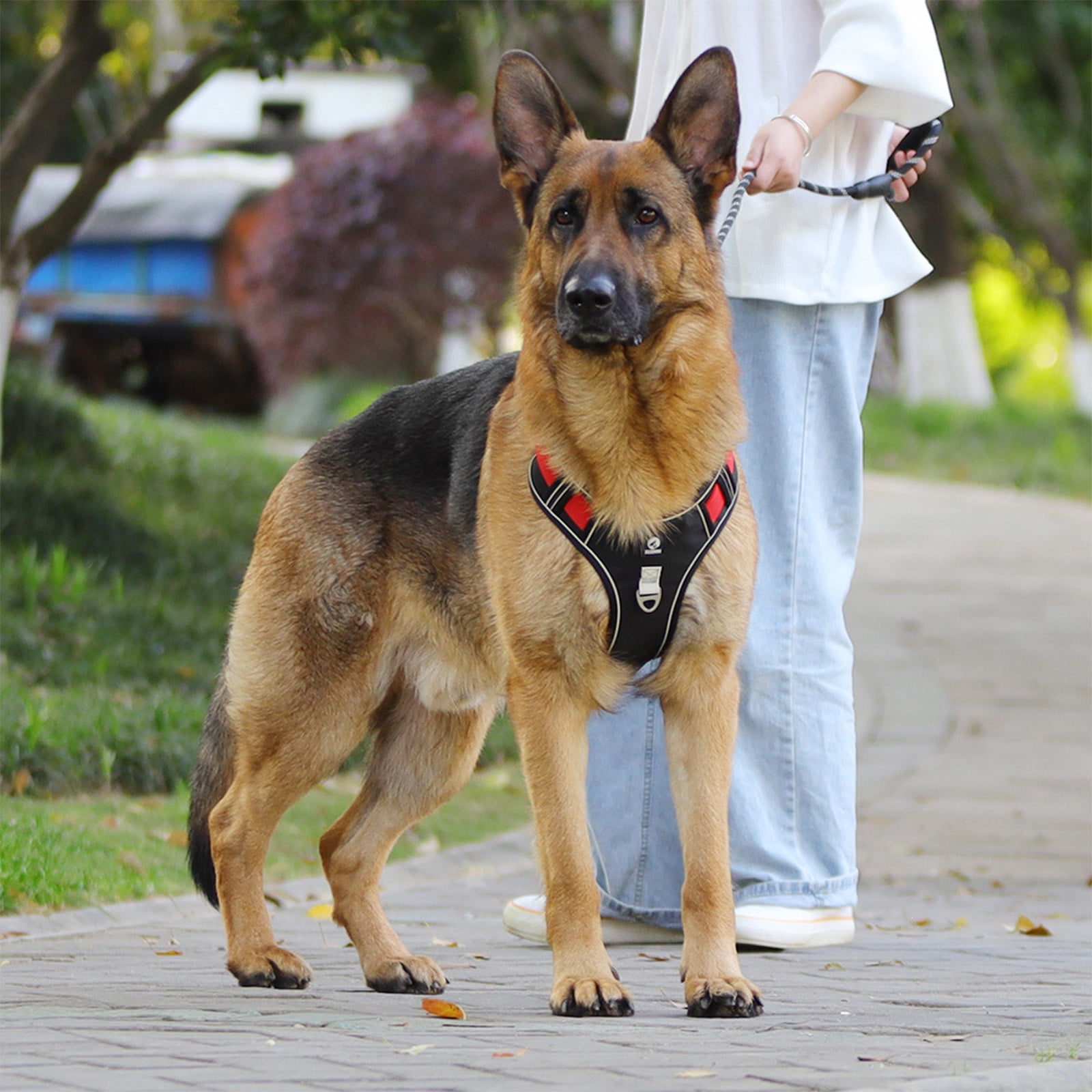 Reflective Dog Harness Leash Set Breathable Mesh Adjustable Pet Vest Chest Strap Anti Pull Safety Walking Harness for Small Medium Dogs Cats Outdoor Training Walking Control Lead Set