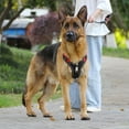 thumbnail image 4 of Fesfesfes Large Dog Leash Set Adjustable Padded Pet with 4.9ft Reflective Leash Comfortable No-Pull Walking Kit for Medium Large Dogs, 4 of 6
