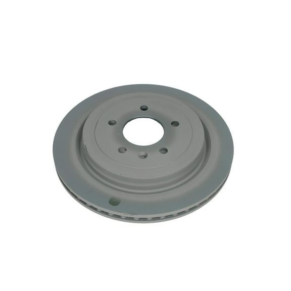 GM Genuine Parts Rear Brake Rotor