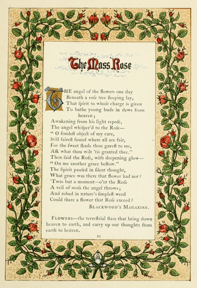 The Floral Gift 186