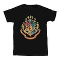 thumbnail image 1 of Harry Potter Boys Hogwarts Crest Gold Ink T-Shirt, 1 of 4
