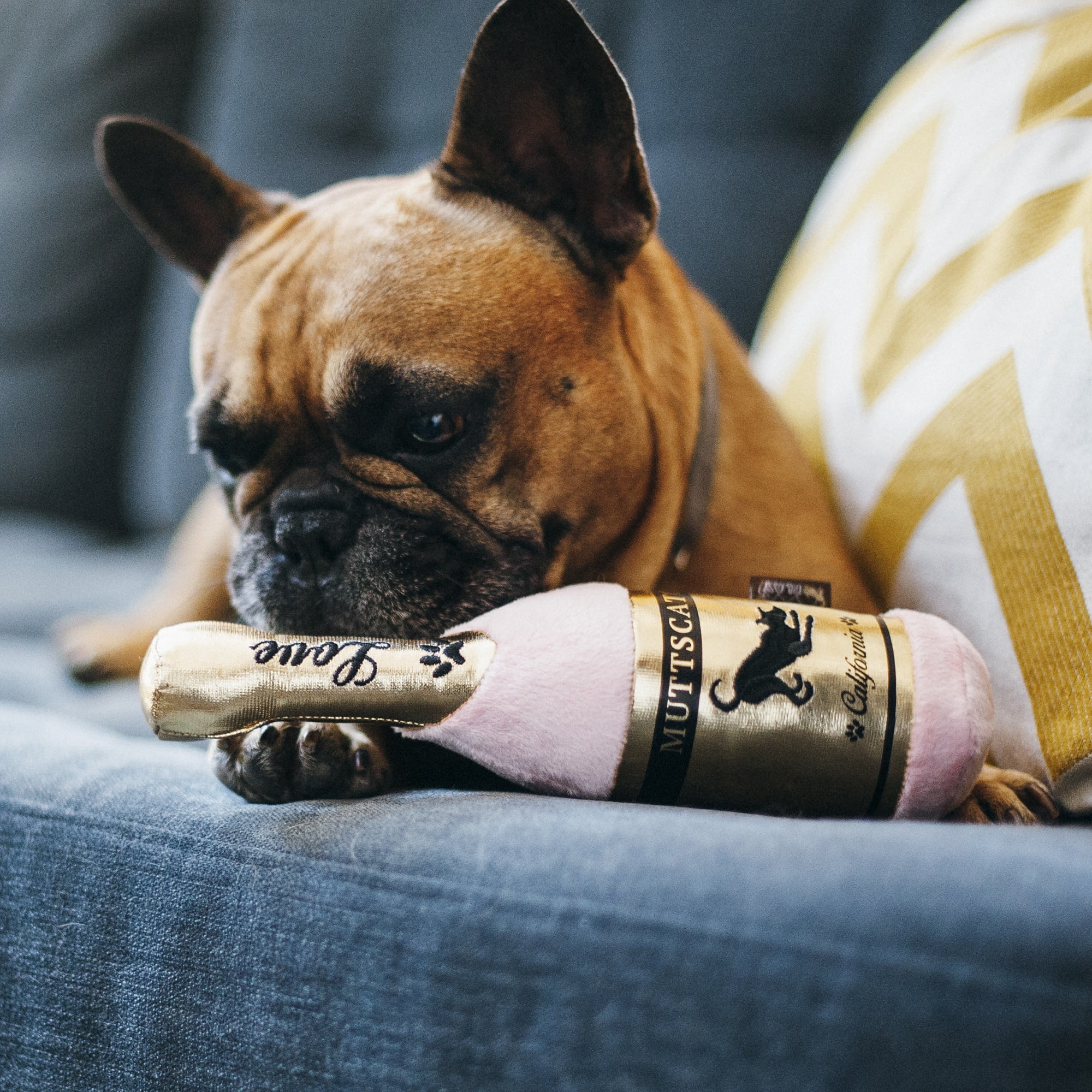 Puppy Love Collection: Barking Bubbly Pet Chew Toy