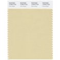 thumbnail image 1 of PANTONE SMART 13-0613X Color Swatch Card, Chino Green, 1 of 1