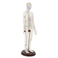 thumbnail image 1 of TISHITA Acupuncture Model 20 inch Tall with Stand PVC Versatile Human Practice Model Female Soft, 1 of 8