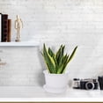 thumbnail image 5 of Home Balcony Plastic Drainage Holes Flower Plant Pot Tray Holder Container White, 5 of 6