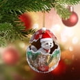 thumbnail image 1 of Trampa de luz acrílica para decoraciones navideñas, serie de animales exquisitos, mochila plana de acrílico 2D, adornos colgantes para coche, decoración colgante, decoraciones de jardín, decoraciones, 1 of 6
