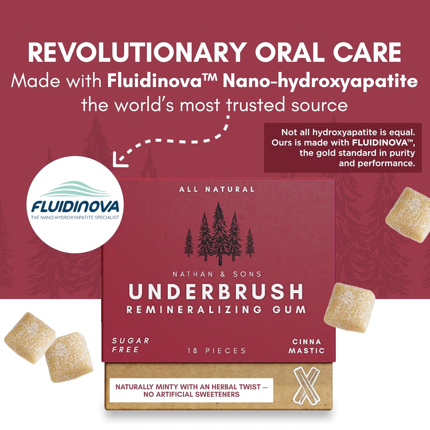 UnderBrush Cinna-Mastic Chewing Gum – Sugar-Free Xylitol Gum with Hydroxyapatite – No Gluten, Sugar, Aspartame and Sucralose - Tree Sap Chewing Base – 2 Pack
