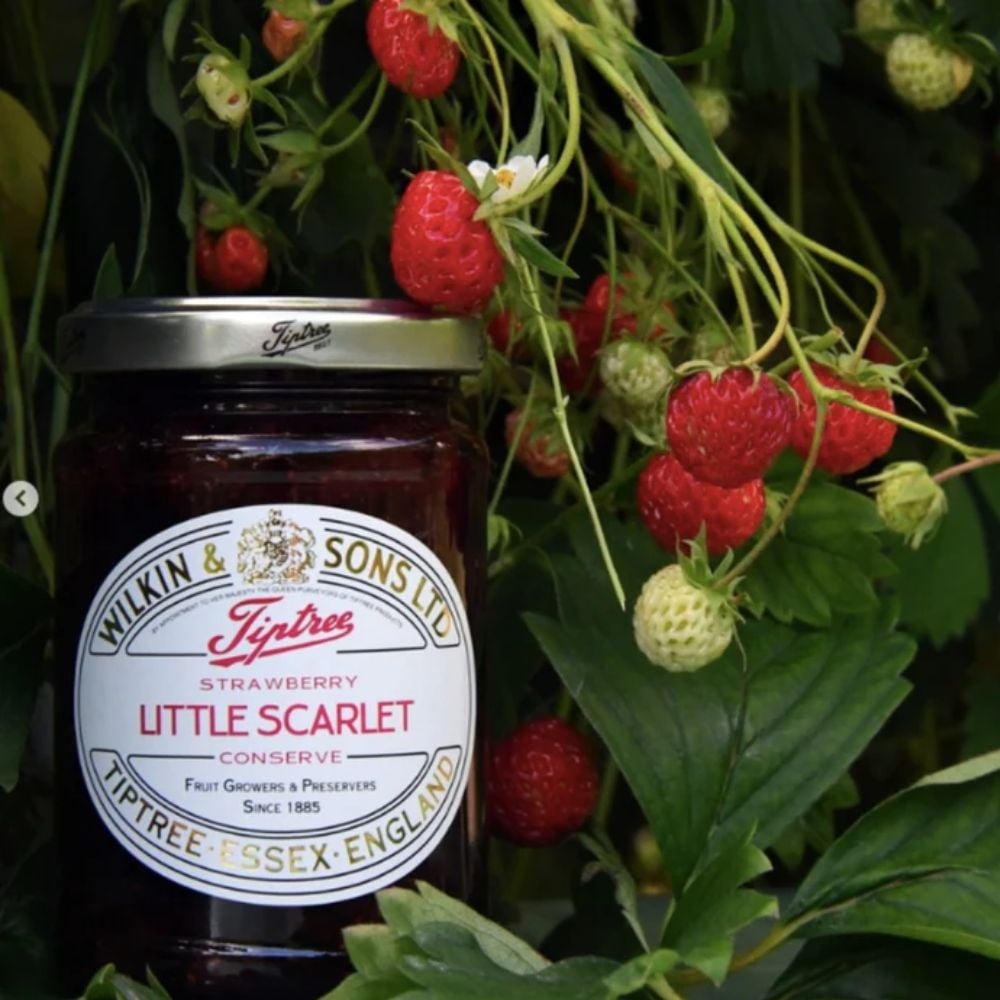 Tiptree Little Scarlet Strawberry Conserve, 12 Ounce Jar (Pack of 2)
