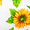 White, variant on Lilly Craft Sunflowers on Ivory with Polka Dots Poly Cotton Fabric - Sold By The Yard - 58" / 59"