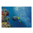 thumbnail image 2 of Under the Sea Cutting Board, Tropical Emperor Long Living Angelfish in Underwater Exotic Marine Animal Image, Decorative Tempered Glass Cutting and Serving Board, Large Size, Blue, by Ambesonne, 2 of 5