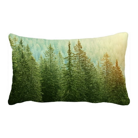 Forest Green Throw Pillows PHFZK Landscape Pillow Case, Green Trees in a Forest at Sunset Pillowcase Throw Pillow Cushion Cover Two Sides Size 20x30 inches ()