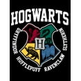 thumbnail image 2 of Harry Potter Hogwarts Houses Boy's Black T-shirt-Large, 2 of 4
