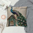 thumbnail image 2 of Orinice Peacock Graphic Decorative Throw Pillow Cover for Home Couch Living Room Sofa - Cotton Linen Pillow Case for Men Women Boys Girls - Pack of 1 12x12in, 2 of 5