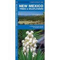 thumbnail image 3 of New Mexico Trees & Wildflowers: An Introduction to Familiar Species, 3 of 5
