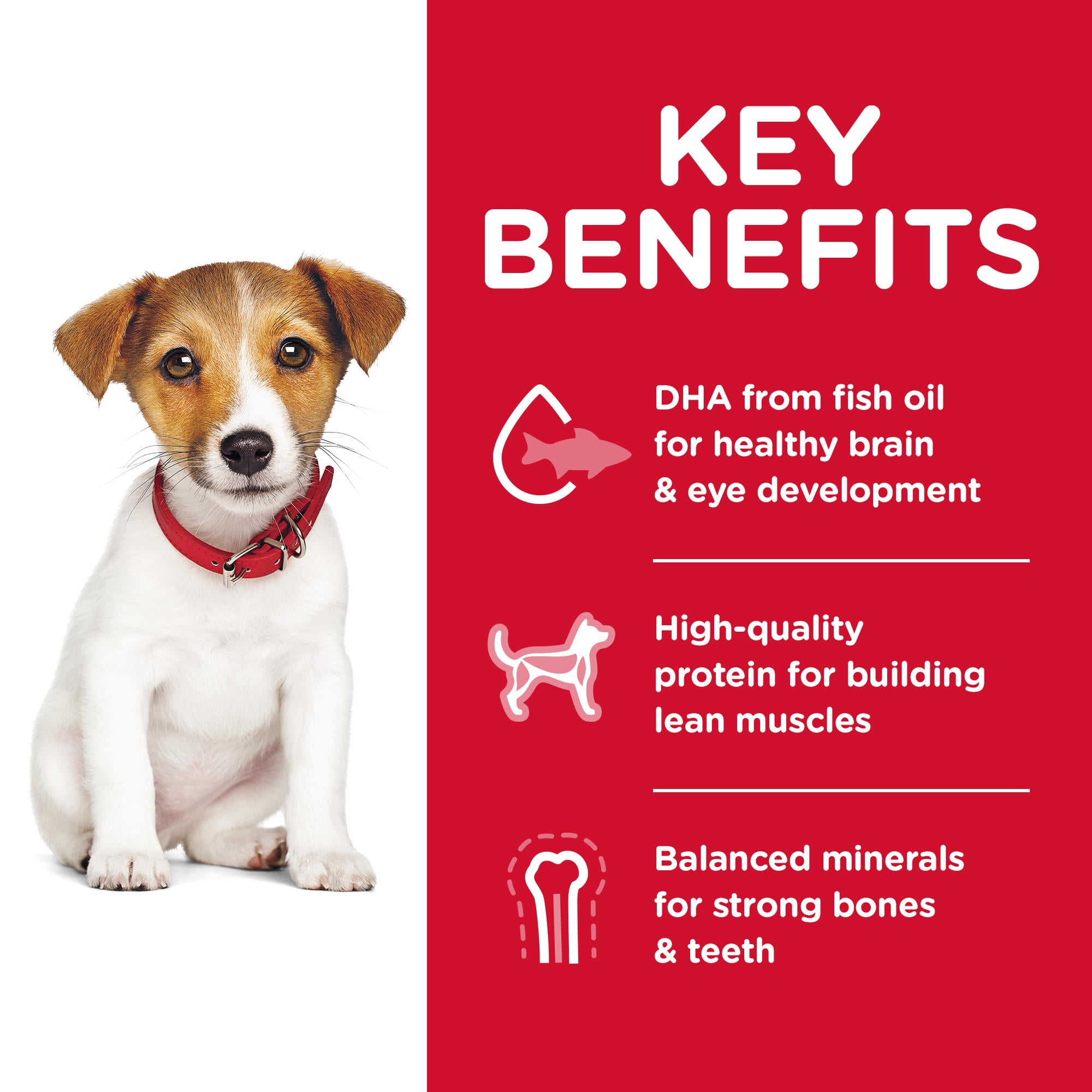 Hill's Science Diet Small-Breed Puppy Kibble, Chicken