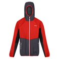 thumbnail image 1 of Regatta - Chaqueta Softshell Tarvos VI para Hombre (Sevilla, Negro), 1 of 4