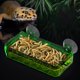 thumbnail image 3 of Ventosa para es, plato de alimentación, cuenco de agua, suministros, contenedor de gusanos a prueba de , accesorios de alimentación para 65x135x25cm Verde Colco Alimentador de reptiles, 3 of 8