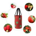 thumbnail image 3 of 3 Gallon Non-woven Cloth Strawberry Planting Growing Bag Hanging Plant Pot Pouch, 3 of 11