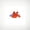 Orange, variant on Hermit Crab Dog Chew Toy for Large Dogs – Teeth Grinding Interactive Self-Play Pet Toy, Orange