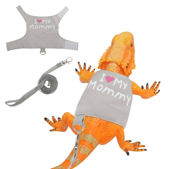 Bearded Dragon Leash Adjustable Lizard Reptiles Harness Bearded Dragon Harness Escape-Proof Harness Clothes for Walkings Outdoor Gray 1 Set