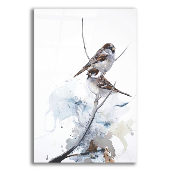Epic Art 'Curiosity 1' by Design Fabrikken, Acrylic Glass Wall Art, 12"x16"
