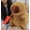 Brown (Candied Haws), variant on Capybara Plush,Cute Plushies Capybara Stuffed Animals,Capybara Plush Toys,Kawaii Plushie Stuffed Toy with Flower Plushies Gifts for Kids Adults Birthday Plushies,Brown 12