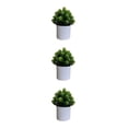thumbnail image 1 of Bearachild 4 paquetes/lote fácil de limpiar planta falsa solución de bajo mantenimiento para plantas artificiales de interior hoja Bonsai tuerca Type1 NO1, 1 of 6