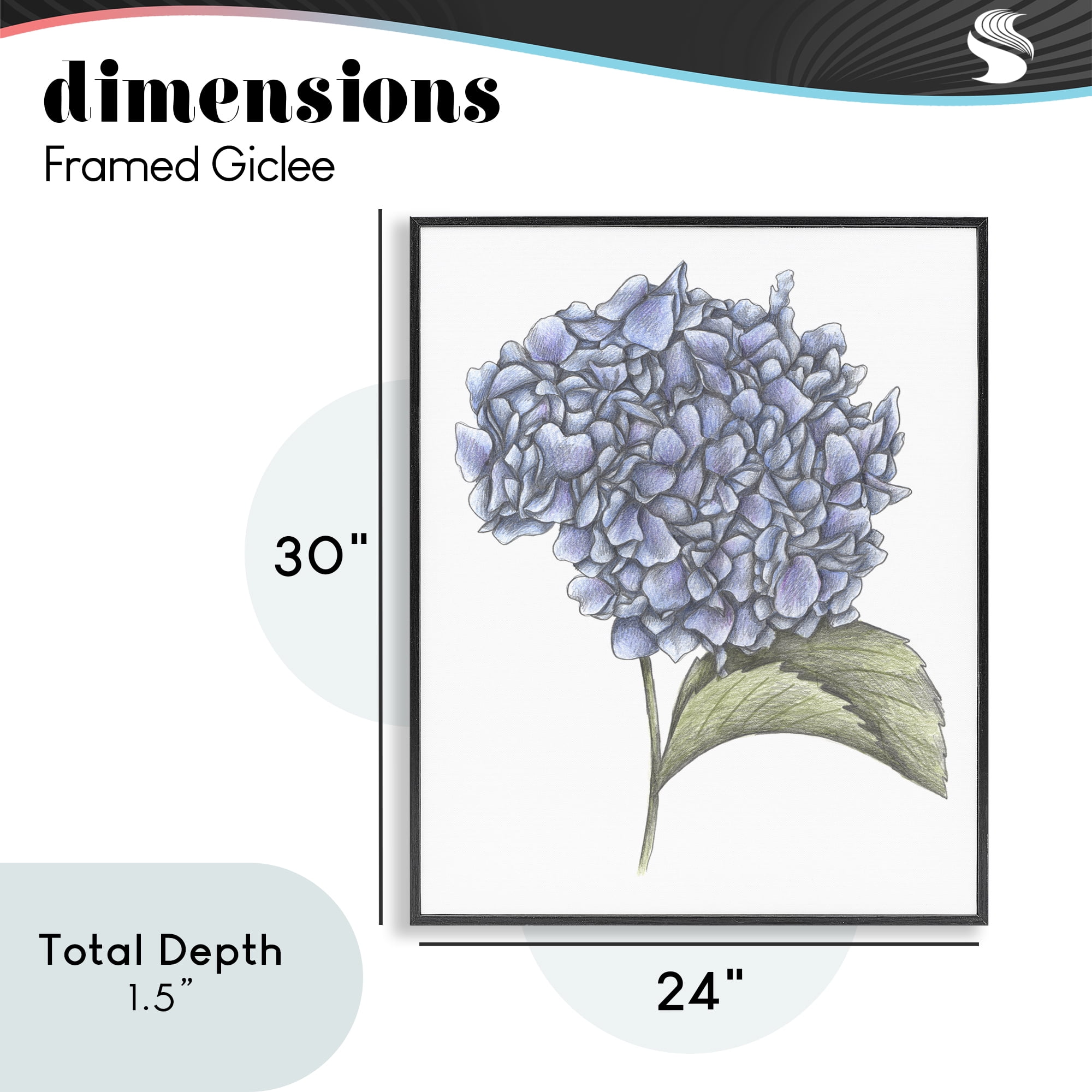 Hydrangea Sketch Blossom Black Framed Giclee Art, design by Cecilia Battaini