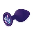 thumbnail image 5 of Sex toy Gift Set bundle of Pinkies, Dolphy And Icon Brands Booty Talk, Silicone Butt Plug, Purple, Neon Leaf, 5 of 5