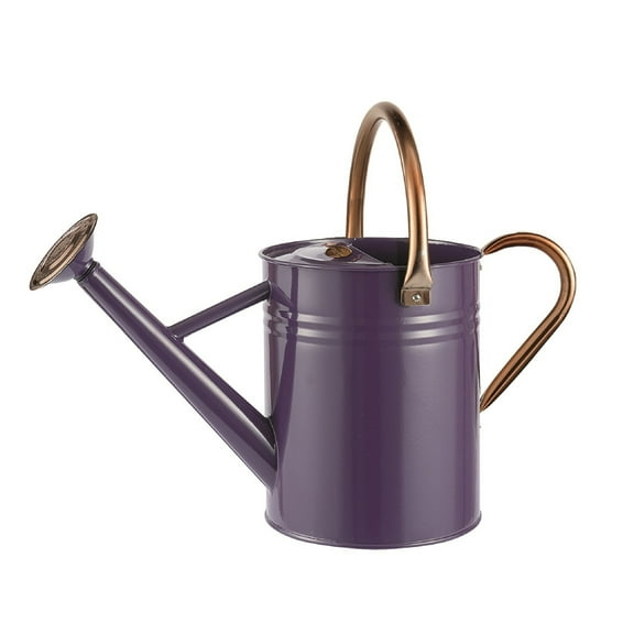 Watering Can 1 Gal - Galvanized Steel Garden Watering Can, Decorative Design, Durable & Functional for Plants