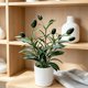 thumbnail image 1 of Ramas de olivo artificiales para patios interiores | Decoración con follaje artificial realista | Adornos de plantas de plástico realistas para arreglos de mesa y jarrones en el hogar, 1 of 7