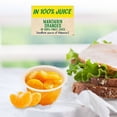 thumbnail image 4 of Mandarina Dole en su jugo 452 g, 4 of 4